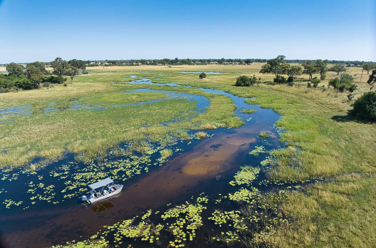 Okavango Delta in Botswana with a boat cruising on the water