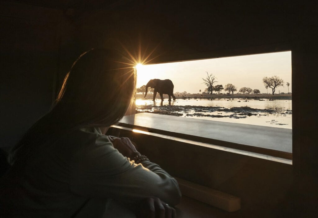 A lady in a sunken hide at Linkwasha camp in Hwange National Park Zimbabwe, safely watching an elephant at the waterehole