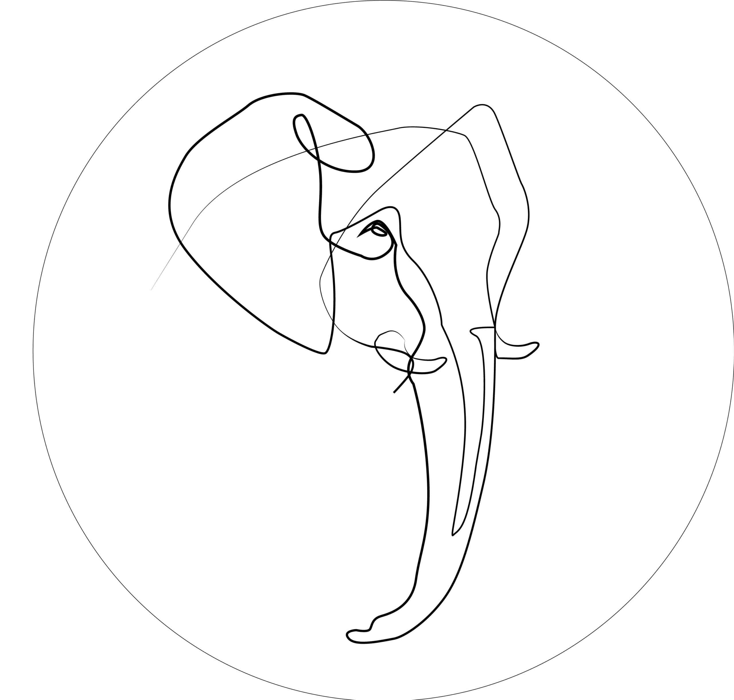 Elephant's face as a line drawing