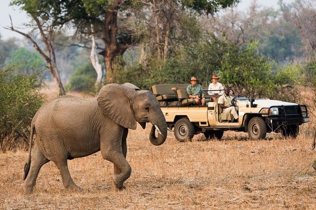 Game drive at Nkwali Camp in Zambia