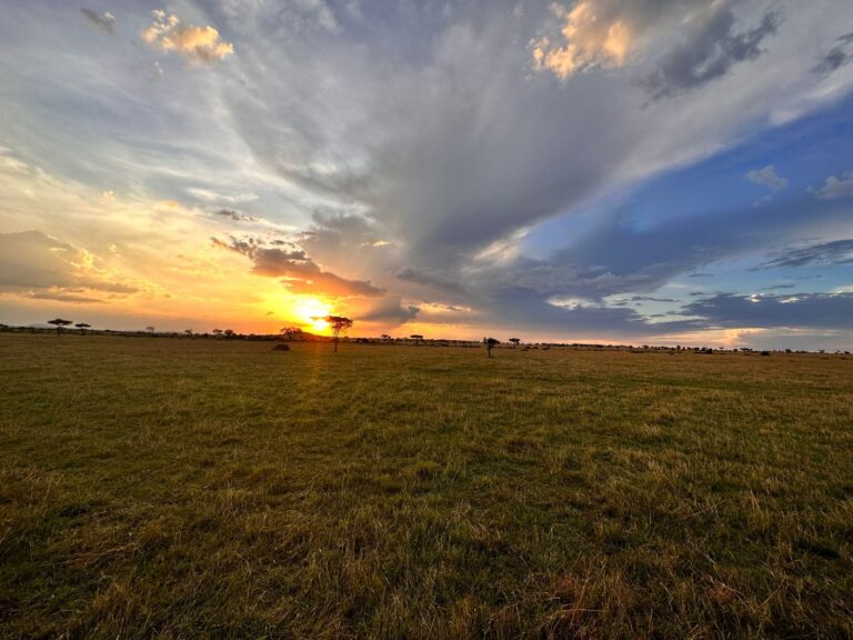 Beautiful African sunset