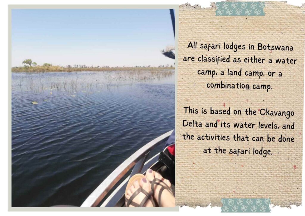 View from a boat of the waters of the Okavango Delta in Botswana 