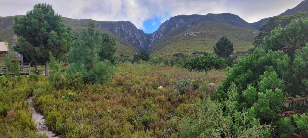 View of the mountains in Stanford, from Africamps Stanford Hills farm