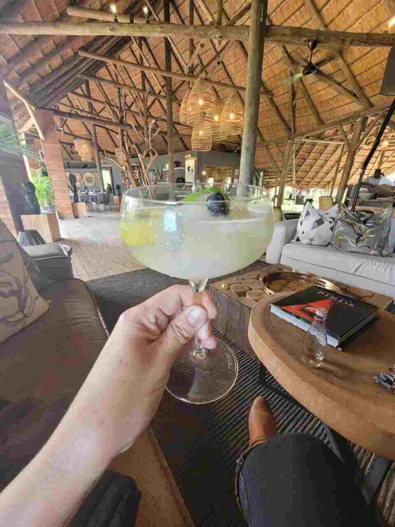 Toasting a cocktail drink at a safari lodge