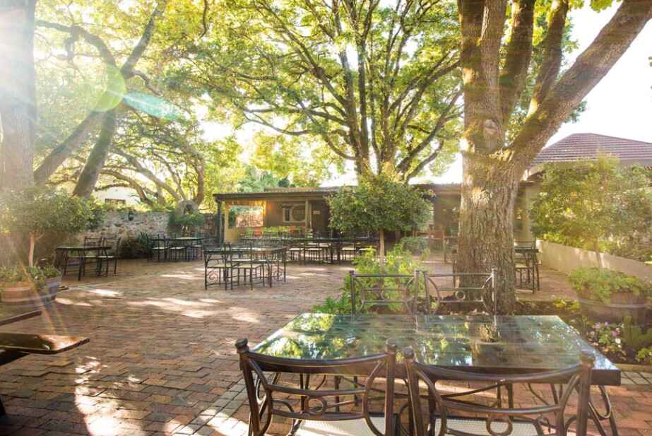 Tables under beautiful old trees at Villiera Wines