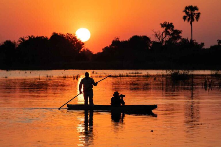 Mekoro ride on the OKavango Delta at sunset