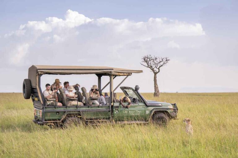 Game vehicle at Governor's camp in Kenya where tourists are on the vehicle with their guide looking at a cheetah.