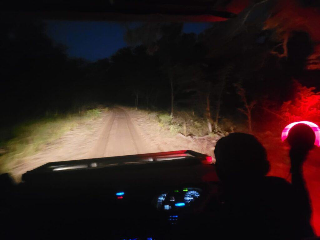 A night game drive at Hwange National Park with the guide using a red light so as not to disturb the wildlife