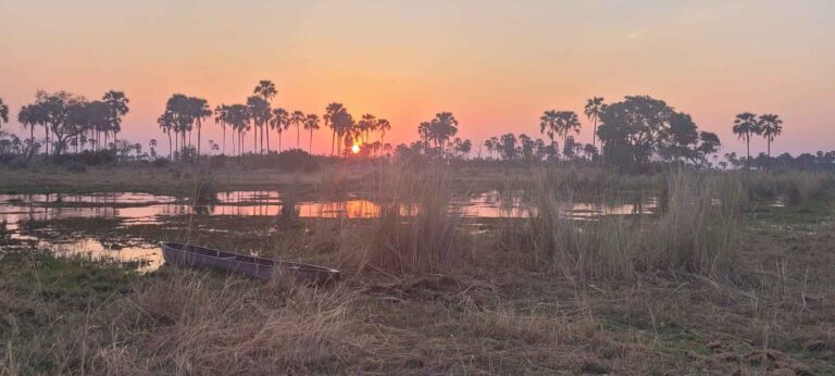 Beautiful sunset over the Okavango Delta in Botswana with a mokoro in the foreground.