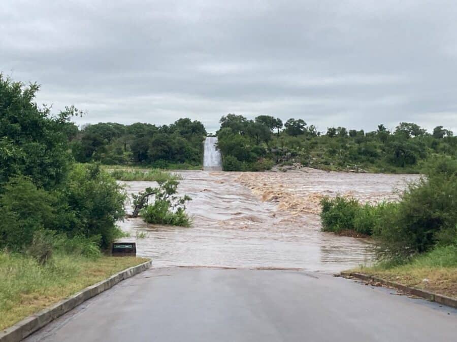 Crocodile Bridge submerged by an overflowing river