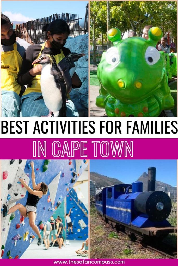 A collage of four fund things to do in Cape Town including visitiing penguins, Bug's World, rock climbing and the miniature Blue Train. Text overlay that says, "Best Activities for Families in Cape Town ."