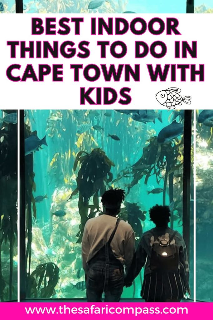 Two people looking into the kelp forest at the Two Oceans Aquarium in Cape Town with text overlay that says, "Best Indoor Things to do in Cape Town with Kids."