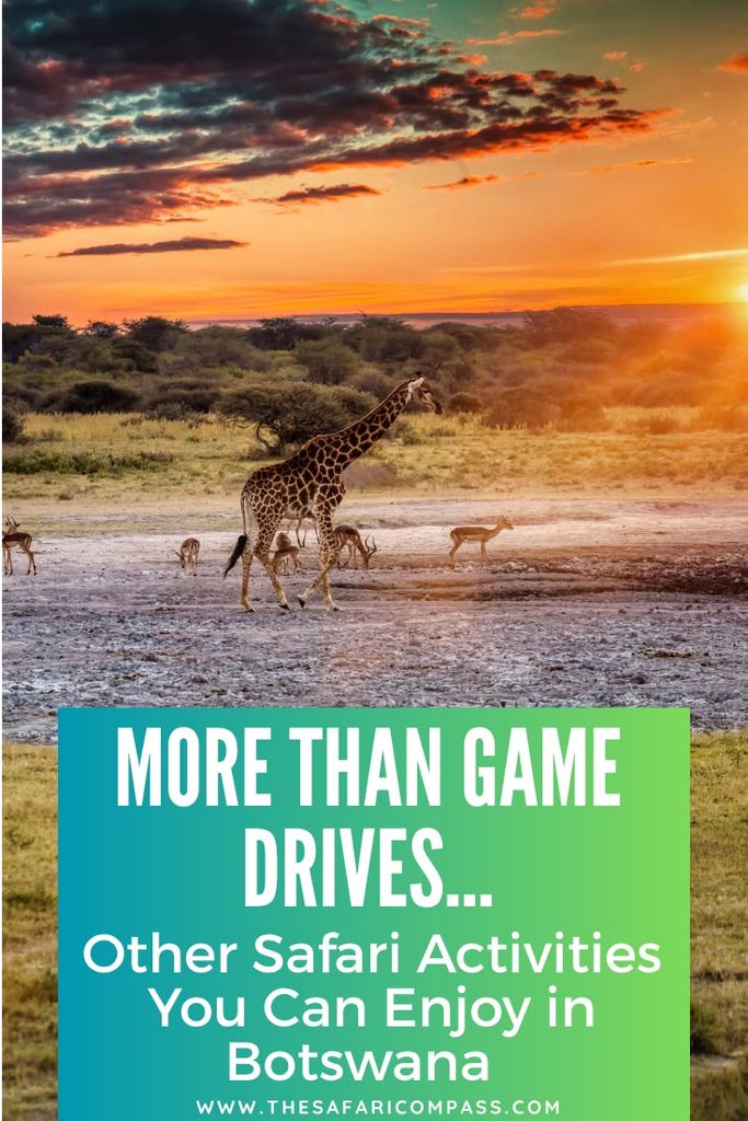 Giraffe and impala walking to the waterhole as sun rises and the text overlay says, "More than game drives in Botswana."