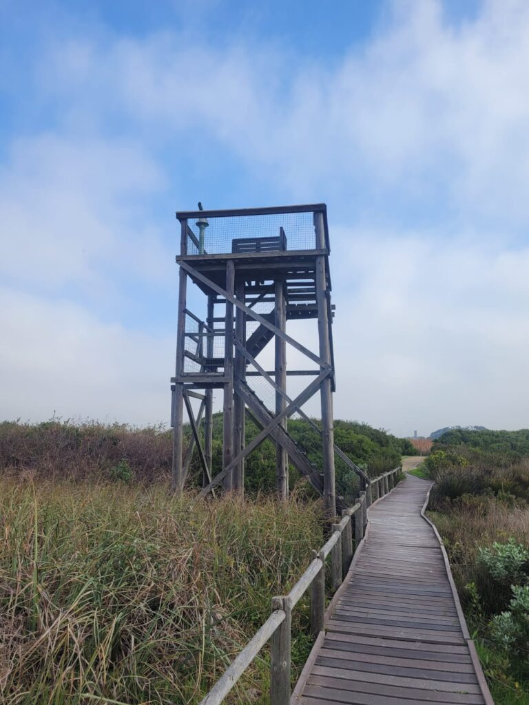 Wooden observation tower next to the walkway at Rondevlei Nature Reserve.