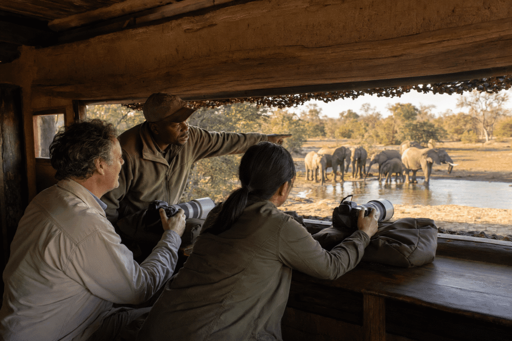 Two travellers with a private guide in a hide watching elephants at a waterhole