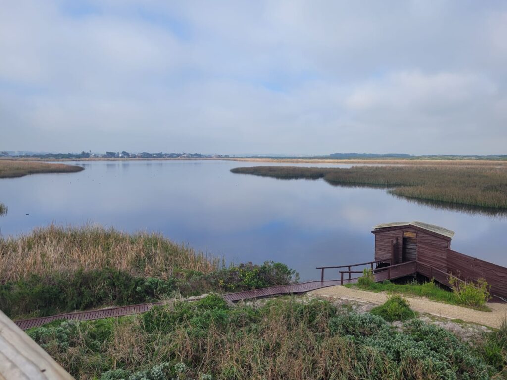 View of the wetlands and one of the bird hides from the observation tower at Rondevlei.